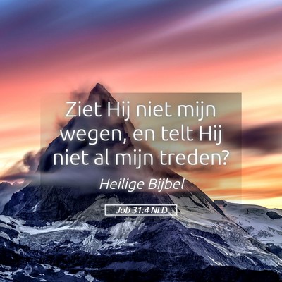 Picture 05 - Job 31:4 NLD - Ziet Hij niet mijn wegen, en telt Hij niet al - Bible Verse Picture