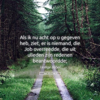 Picture 05 - Job 32:12 NLD - Als ik nu acht op u gegeven heb, ziet, er is - Bible Verse Picture