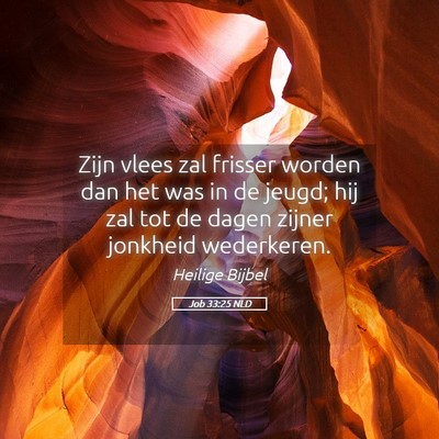Picture 05 - Job 33:25 NLD - Zijn vlees zal frisser worden dan het was in de - Bible Verse Picture
