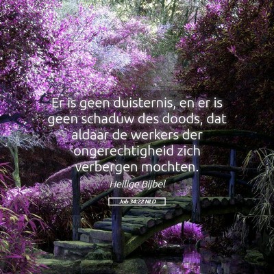 Picture 05 - Job 34:22 NLD - Er is geen duisternis, en er is geen schaduw des - Bible Verse Picture