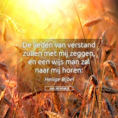 Picture 05 - Job 34:34 NLD - De lieden van verstand zullen met mij zeggen, en - Bible Verse Picture