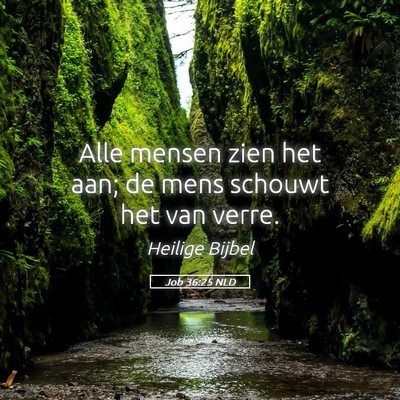 Picture 05 - Job 36:25 NLD - Alle mensen zien het aan; de mens schouwt het van - Bible Verse Picture