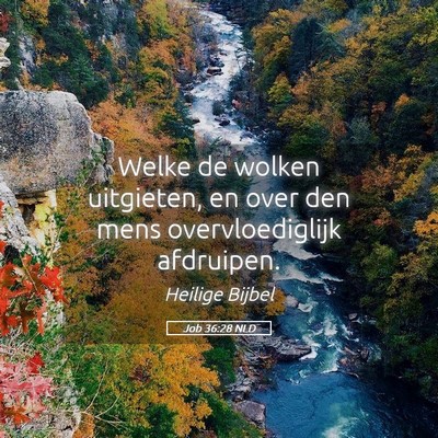 Picture 05 - Job 36:28 NLD - Welke de wolken uitgieten, en over den mens - Bible Verse Picture