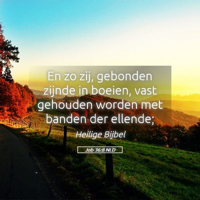Picture 05 - Job 36:8 NLD - En zo zij, gebonden zijnde in boeien, vast - Bible Verse Picture