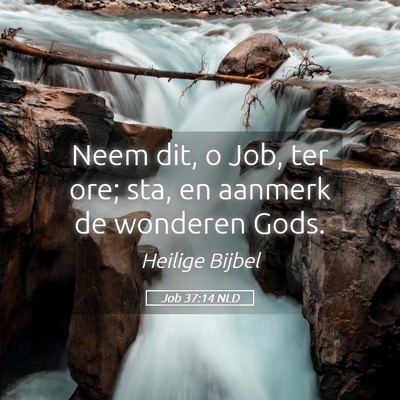 Picture 05 - Job 37:14 NLD - Neem dit, o Job, ter ore; sta, en aanmerk de - Bible Verse Picture