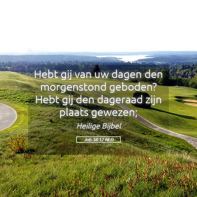 Picture 05 - Job 38:12 NLD - Hebt gij van uw dagen den morgenstond geboden? - Bible Verse Picture