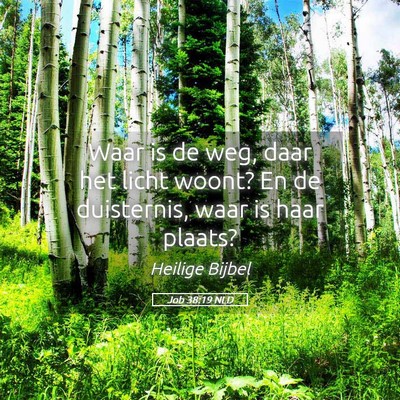 Picture 05 - Job 38:19 NLD - Waar is de weg, daar het licht woont? En de - Bible Verse Picture