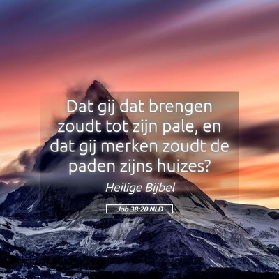 Picture 05 - Job 38:20 NLD - Dat gij dat brengen zoudt tot zijn pale, en dat - Bible Verse Picture