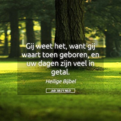 Picture 05 - Job 38:21 NLD - Gij weet het, want gij waart toen geboren, en uw - Bible Verse Picture