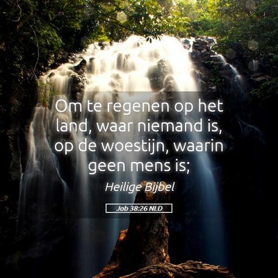 Picture 05 - Job 38:26 NLD - Om te regenen op het land, waar niemand is, op de - Bible Verse Picture