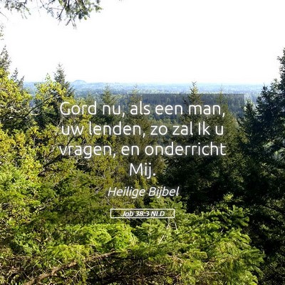Picture 05 - Job 38:3 NLD - Gord nu, als een man, uw lenden, zo zal Ik u - Bible Verse Picture