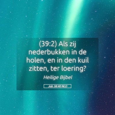 Picture 05 - Job 38:40 NLD - (39:2) Als zij nederbukken in de holen, en in den - Bible Verse Picture