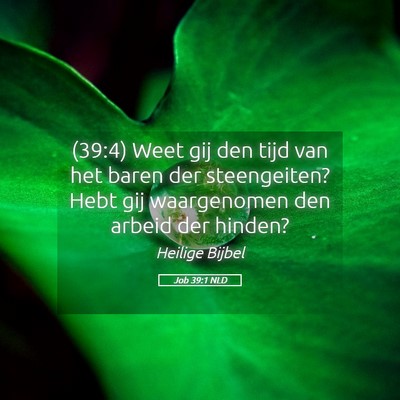 Picture 05 - Job 39:1 NLD - (39:4) Weet gij den tijd van het baren der - Bible Verse Picture