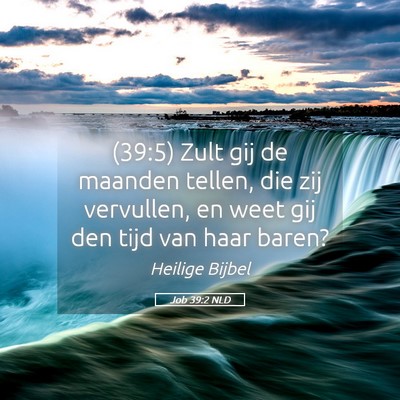 Picture 05 - Job 39:2 NLD - (39:5) Zult gij de maanden tellen, die zij - Bible Verse Picture