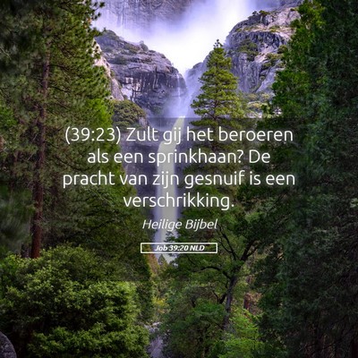 Picture 05 - Job 39:20 NLD - (39:23) Zult gij het beroeren als een sprinkhaan? - Bible Verse Picture