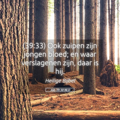 Picture 05 - Job 39:30 NLD - (39:33) Ook zuipen zijn jongen bloed; en waar - Bible Verse Picture