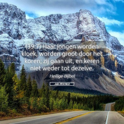 Picture 05 - Job 39:4 NLD - (39:7) Haar jongen worden kloek, worden groot - Bible Verse Picture