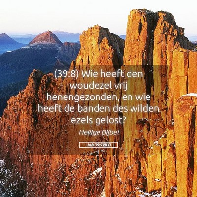 Picture 05 - Job 39:5 NLD - (39:8) Wie heeft den woudezel vrij henengezonden, - Bible Verse Picture
