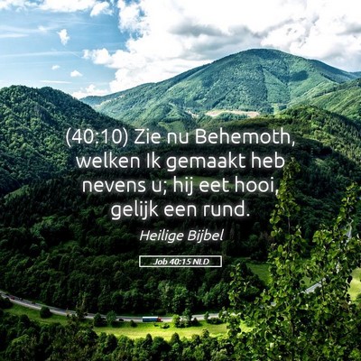 Picture 05 - Job 40:15 NLD - (40:10) Zie nu Behemoth, welken Ik gemaakt heb - Bible Verse Picture