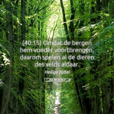 Picture 05 - Job 40:20 NLD - (40:15) Omdat de bergen hem voeder voortbrengen, - Bible Verse Picture