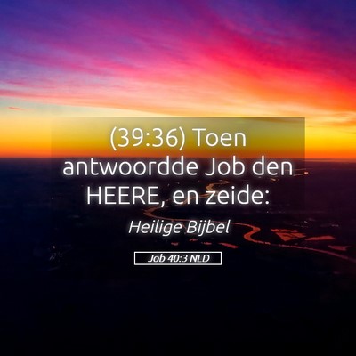 Picture 05 - Job 40:3 NLD - (39:36) Toen antwoordde Job den HEERE, en - Bible Verse Picture