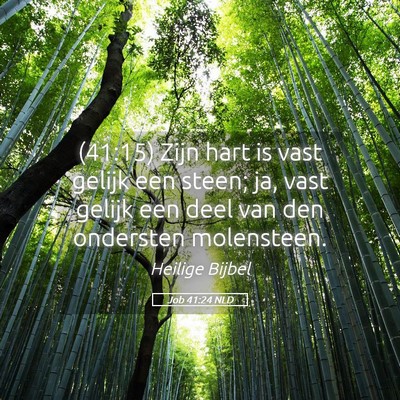 Picture 05 - Job 41:24 NLD - (41:15) Zijn hart is vast gelijk een steen; ja, - Bible Verse Picture