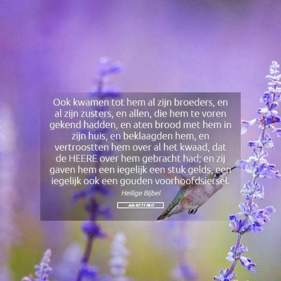 Picture 05 - Job 42:11 NLD - Ook kwamen tot hem al zijn broeders, en al zijn - Bible Verse Picture