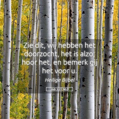 Picture 05 - Job 5:27 NLD - Zie dit, wij hebben het doorzocht, het is alzo; - Bible Verse Picture