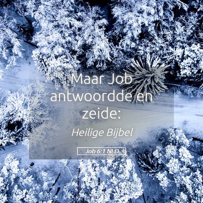 Picture 05 - Job 6:1 NLD - Maar Job antwoordde en - Bible Verse Picture