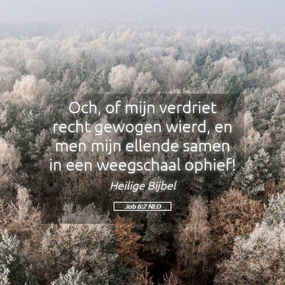 Picture 05 - Job 6:2 NLD - Och, of mijn verdriet recht gewogen wierd, en men - Bible Verse Picture