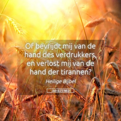 Picture 05 - Job 6:23 NLD - Of bevrijdt mij van de hand des verdrukkers, en - Bible Verse Picture