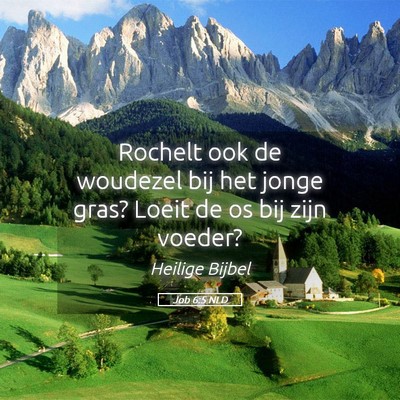 Picture 05 - Job 6:5 NLD - Rochelt ook de woudezel bij het jonge gras? Loeit - Bible Verse Picture