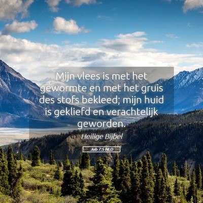 Picture 05 - Job 7:5 NLD - Mijn vlees is met het gewormte en met het gruis - Bible Verse Picture