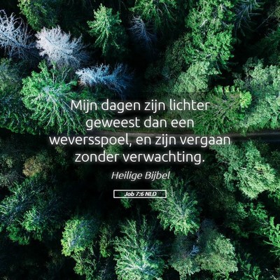 Picture 05 - Job 7:6 NLD - Mijn dagen zijn lichter geweest dan een - Bible Verse Picture