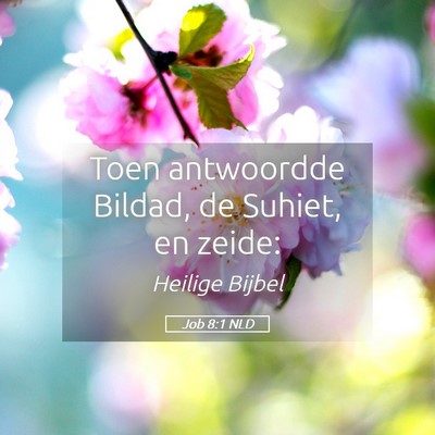 Picture 05 - Job 8:1 NLD - Toen antwoordde Bildad, de Suhiet, en - Bible Verse Picture