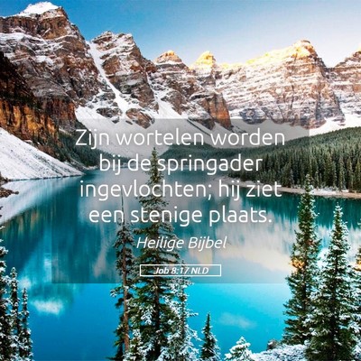 Picture 05 - Job 8:17 NLD - Zijn wortelen worden bij de springader - Bible Verse Picture