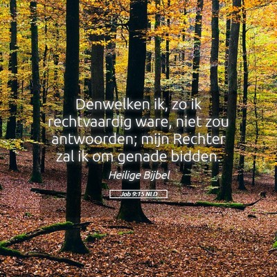 Picture 05 - Job 9:15 NLD - Denwelken ik, zo ik rechtvaardig ware, niet zou - Bible Verse Picture