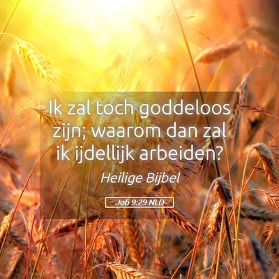 Picture 05 - Job 9:29 NLD - Ik zal toch goddeloos zijn; waarom dan zal ik - Bible Verse Picture
