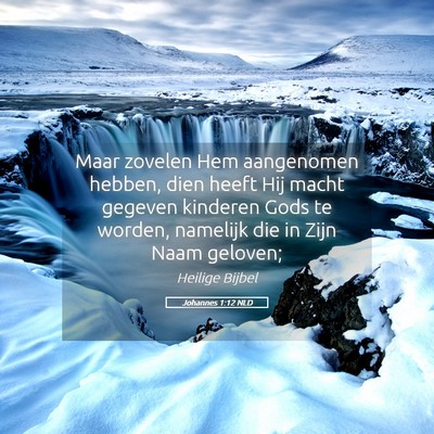 Picture 05 - Johannes 1:12 NLD - Maar zovelen Hem aangenomen hebben, dien heeft - Bible Verse Picture
