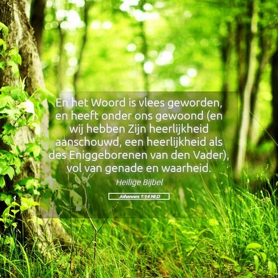 Picture 05 - Johannes 1:14 NLD - En het Woord is vlees geworden, en heeft onder - Bible Verse Picture