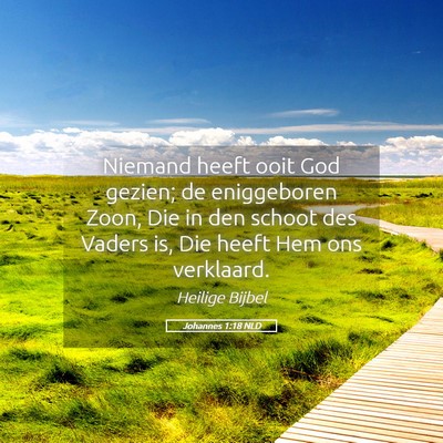 Picture 05 - Johannes 1:18 NLD - Niemand heeft ooit God gezien; de eniggeboren - Bible Verse Picture