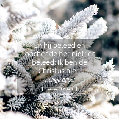 Picture 05 - Johannes 1:20 NLD - En hij beleed en loochende het niet; en beleed: - Bible Verse Picture