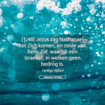 Picture 05 - Johannes 1:47 NLD - (1:48) Jezus zag Nathanael tot Zich komen, en - Bible Verse Picture