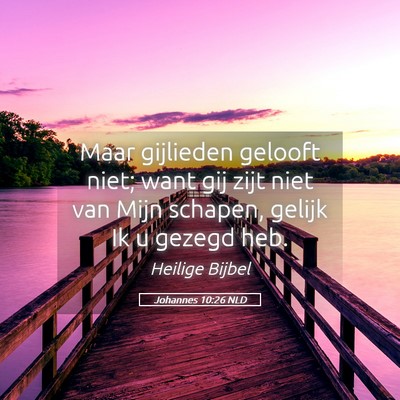 Picture 05 - Johannes 10:26 NLD - Maar gijlieden gelooft niet; want gij zijt niet - Bible Verse Picture