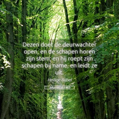 Picture 05 - Johannes 10:3 NLD - Dezen doet de deurwachter open, en de schapen - Bible Verse Picture