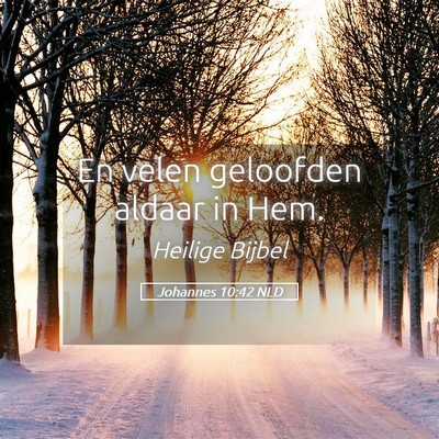 Picture 05 - Johannes 10:42 NLD - En velen geloofden aldaar in - Bible Verse Picture