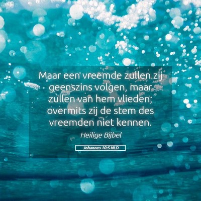 Picture 05 - Johannes 10:5 NLD - Maar een vreemde zullen zij geenszins volgen, - Bible Verse Picture