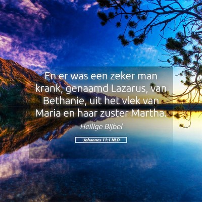 Picture 05 - Johannes 11:1 NLD - En er was een zeker man krank, genaamd Lazarus, - Bible Verse Picture