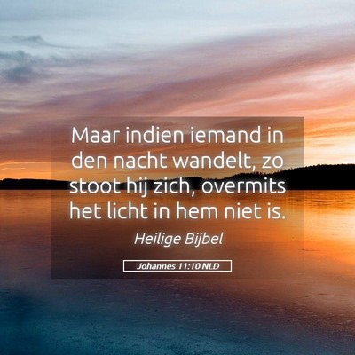 Picture 05 - Johannes 11:10 NLD - Maar indien iemand in den nacht wandelt, zo stoot - Bible Verse Picture