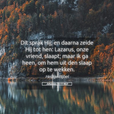 Picture 05 - Johannes 11:11 NLD - Dit sprak Hij; en daarna zeide Hij tot hen: - Bible Verse Picture